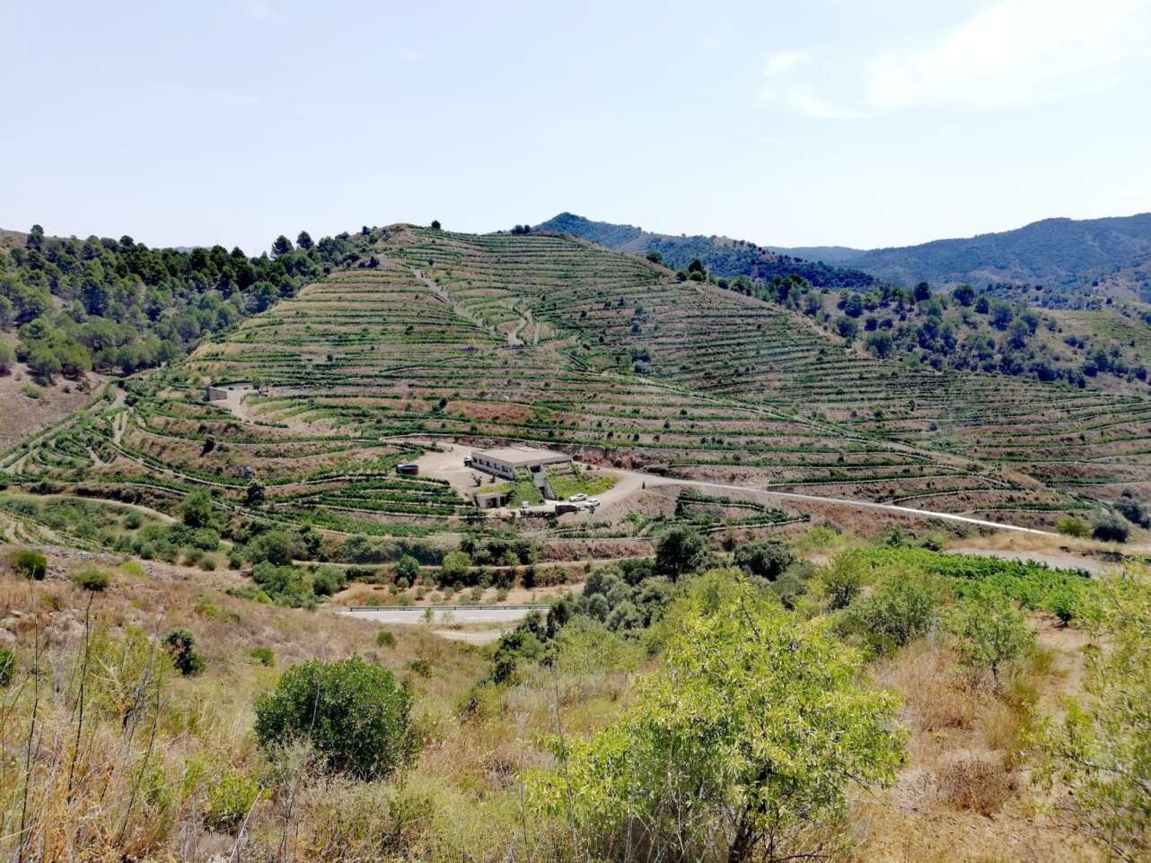 Un terroir de Marco Abella