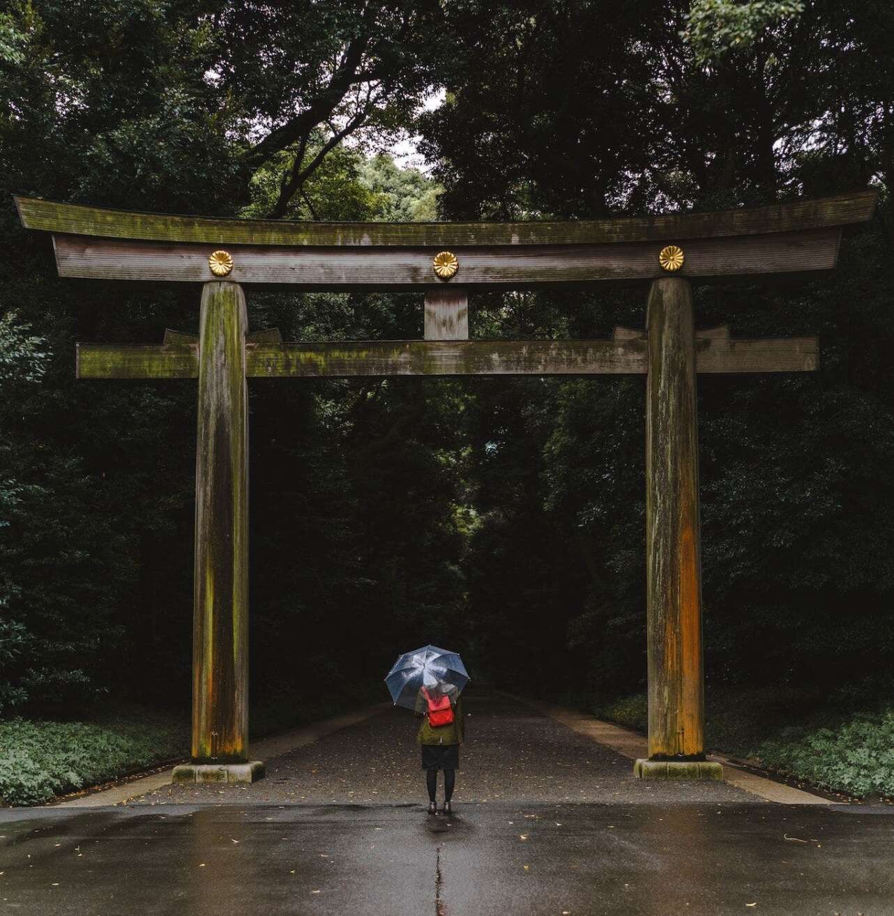 Incluso en el corazoÌn de Tokio es posible darse un banÌƒo de bosque. Foto Michal Pechardo Unsplash