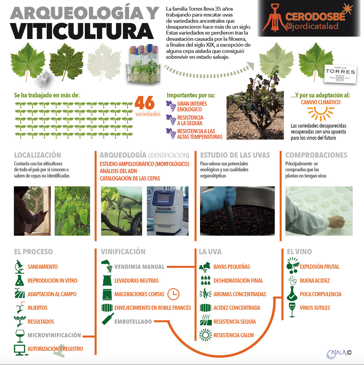 INFO 3 ancestrales