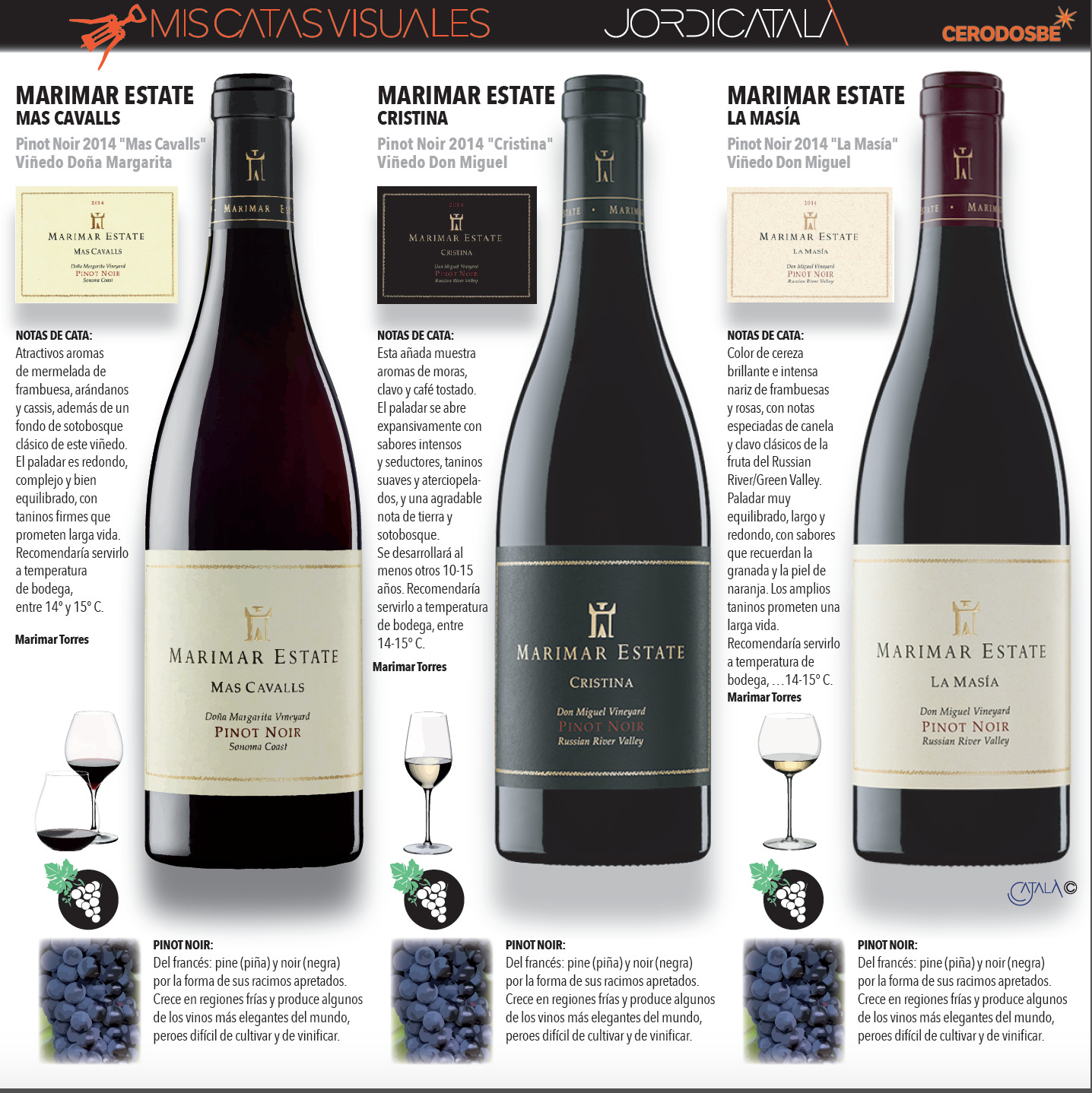 InfografÃ­a 1: Los vinos californianos de Marimar Torres