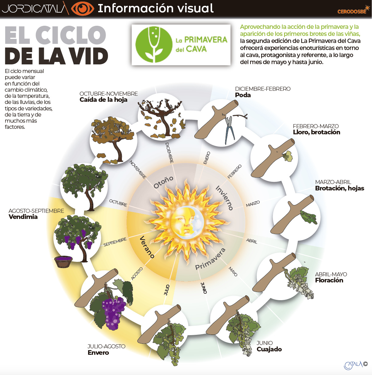 InfografÃ­a 1: La Primavera del Cava