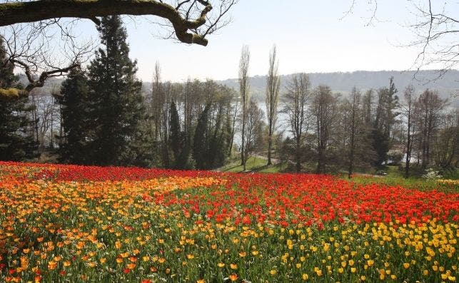 Isla de Mainau, Lago de Constanza. Foto Holidu.