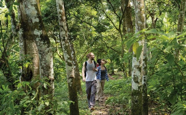 Caminata en la selva: Caminata en la selva, Loreto Â© Leonel Ortiz / PromPerÃº