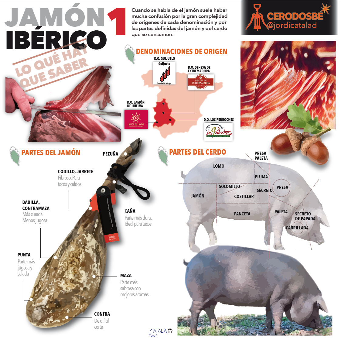 JamÃ³n ibÃ©rico infografÃ­a 1.