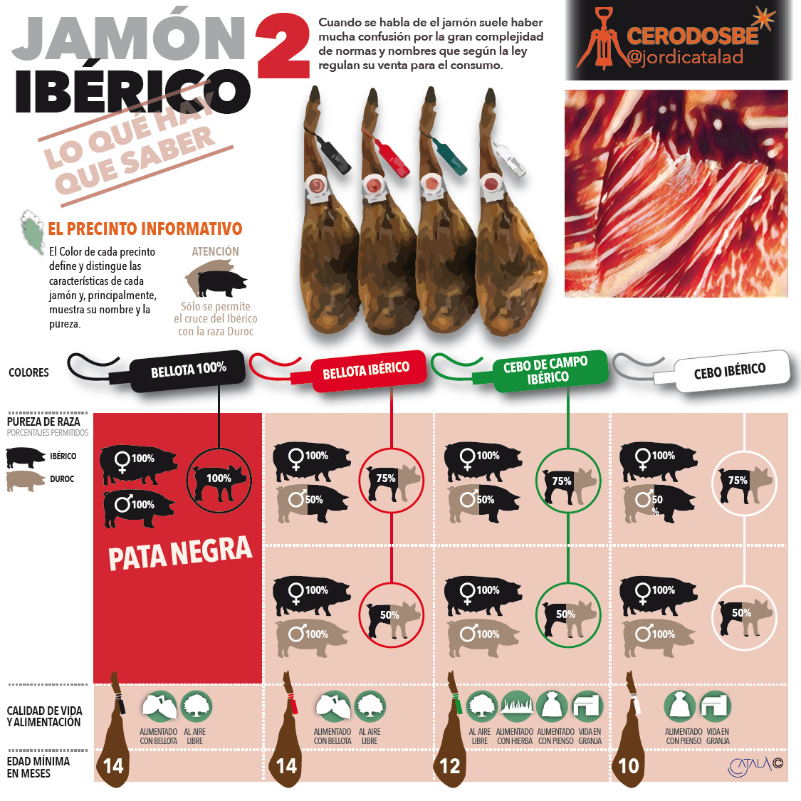 JamÃ³n ibÃ©rico infografÃ­a 2.