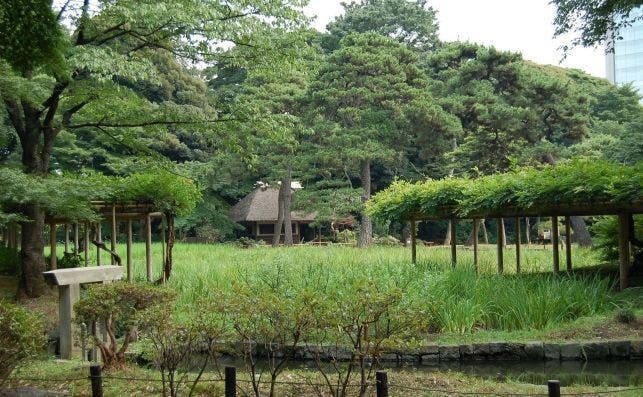 JardÃ­n BotÃ¡nico Koishikawa, Tokio.