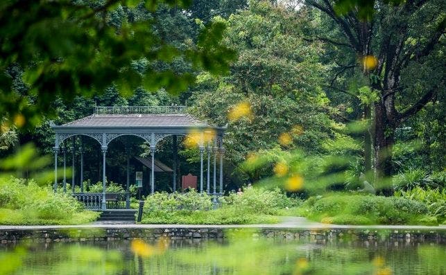 JardÃ­n BotÃ¡nico Singapur.