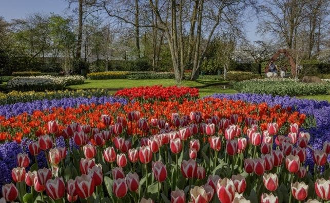 JardÃ­n de Keukenhof. Foto Keukenhoff.