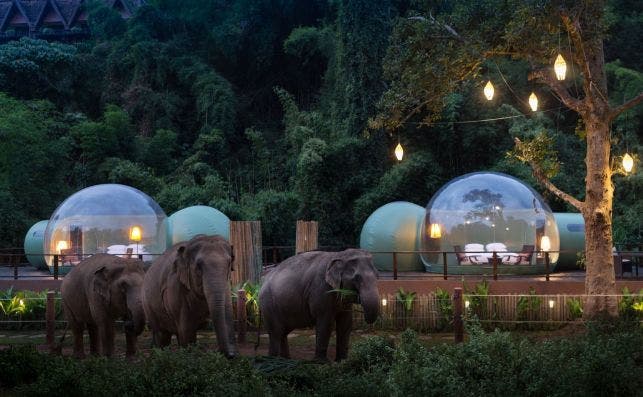 Jungle Bubbles. Foto: Anantara