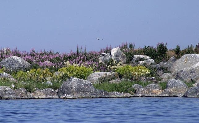 Kvarken Archipelago @Jaakko Salo  Visit Finland