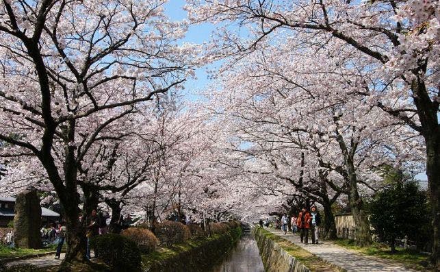 kyoto