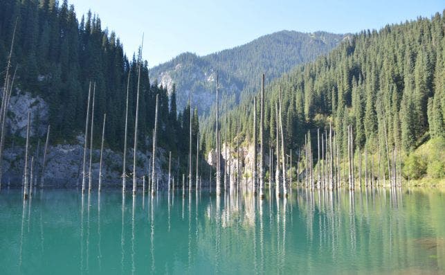 Lago Kaindy, KazajistaÌn. Foto: Getty Images.