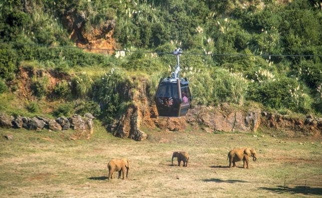 Las cabinas sobrevuelan los recintos de los animales. Foto RomÃ¡n G. Aguilera EFE.