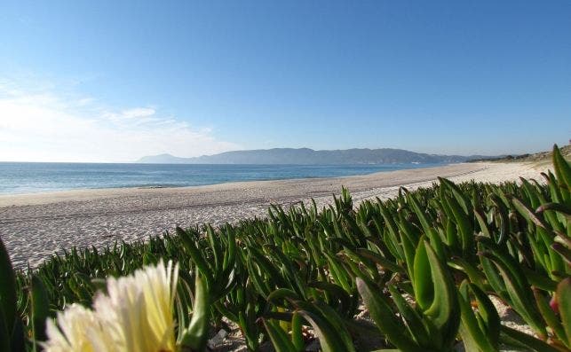 Las playas atlÃ¡nticas siguen siendo uno de los secretos mejor guardados del Alentejo. Foto Turismo Alentejo.