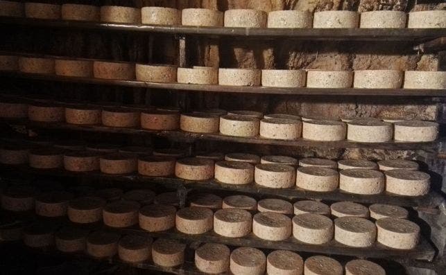Los quesos Cabrales maduran en cuevas a mil metros de altitud en Picos de Europa. Grandes Productos.