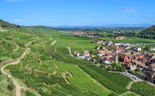 Los vinÌƒedos rodena Colmar, la capital del vino de Alsacia. Foto Ben Kerckx  Pixabay