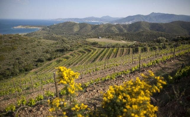 Mar y MontanÌƒa (foto Peralada Chivite)