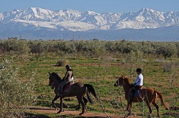 marrakech paseo a caballo