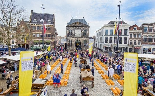 Mercado del queso de Gouda. Foto: Turismo de Holanda.