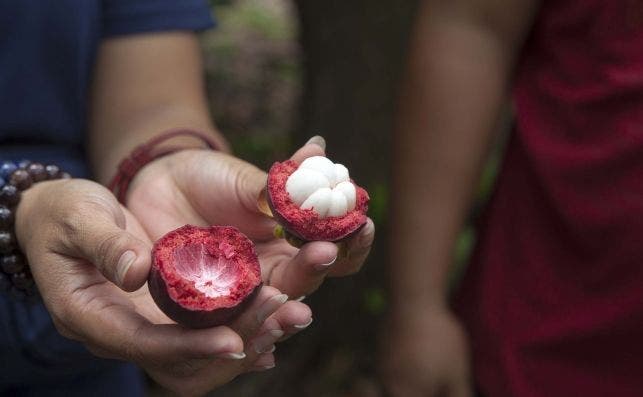 fruto tailandia