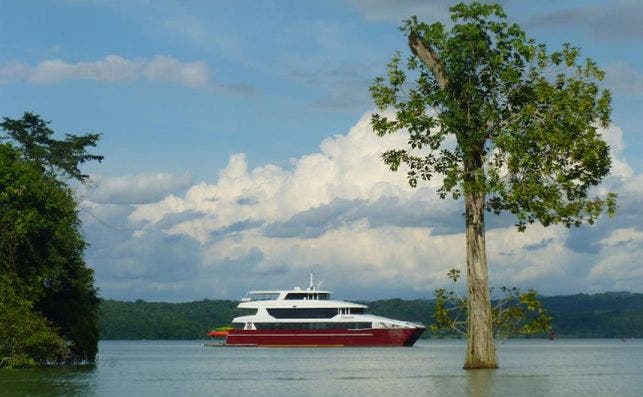 Mini crucero en el canal de PanamaÌ. Foto: Discovery Cruises.