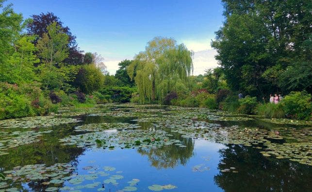 Monet pintoÌ sus obras de nenuÌfares mirando este estanque. Foto: Adora Goodenough Unsplash