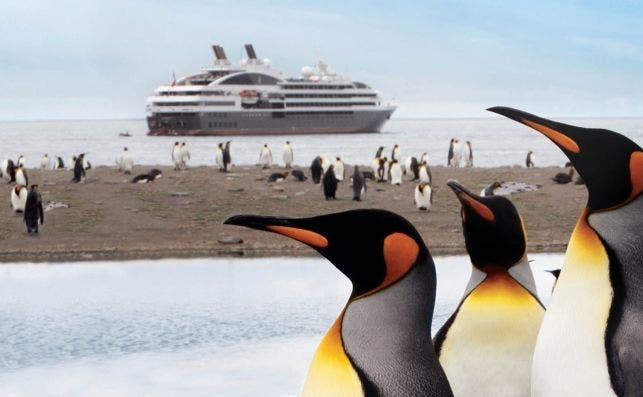 Si te entusiasman los cruceros de expediciÃ³n, las propuestas de National Geographic y Ponant son ideales.