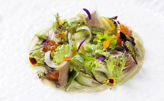 oria ensalada de crema de pescado azul y brotes jovenes