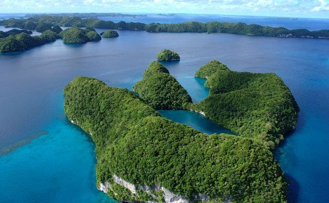Palau Foto Wikipedia