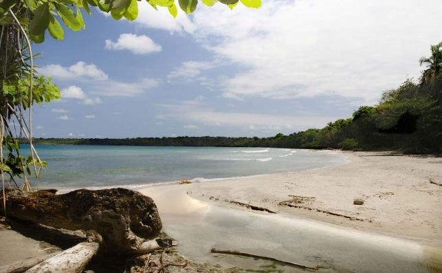 Parque Nacional de Cahuita. Foto: Turismo de Costa Rica.