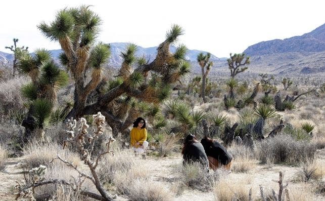 Parque Nacional de Joshua Tree. EFE Mike Nelson