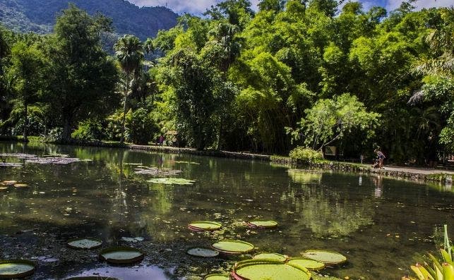 Parque nacional de tijuca