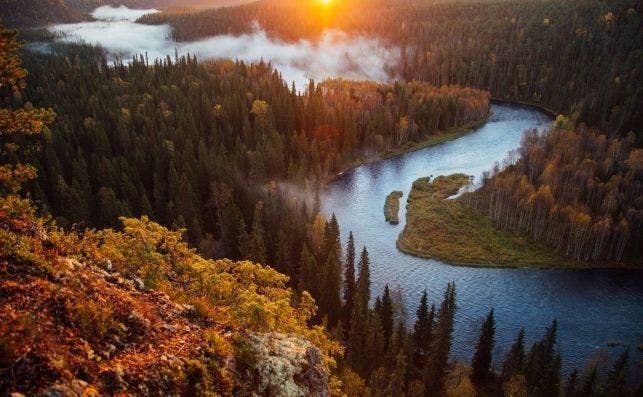 Parque Nacional Oulanka. Foto: VisitFinland.