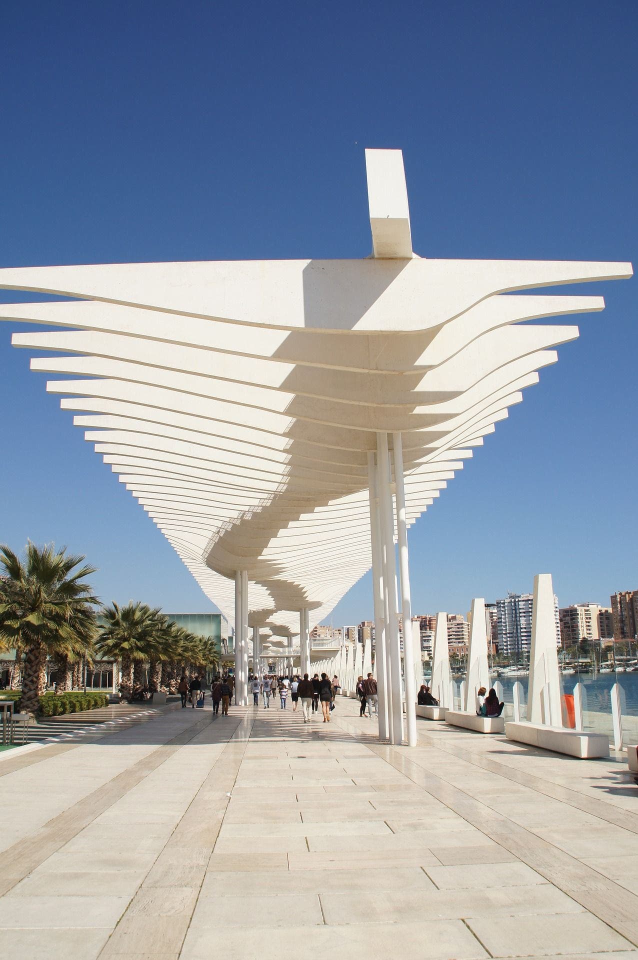 Paseo mariÌtimo de MaÌlaga. Foto: Pixabay.