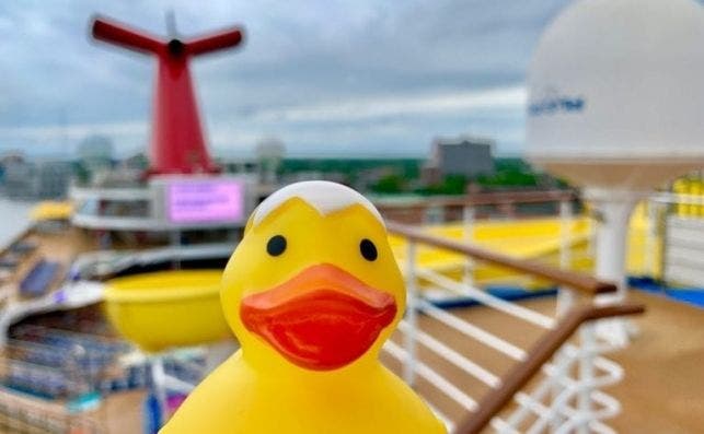 Patito a bordo del Carnival Sunrise.