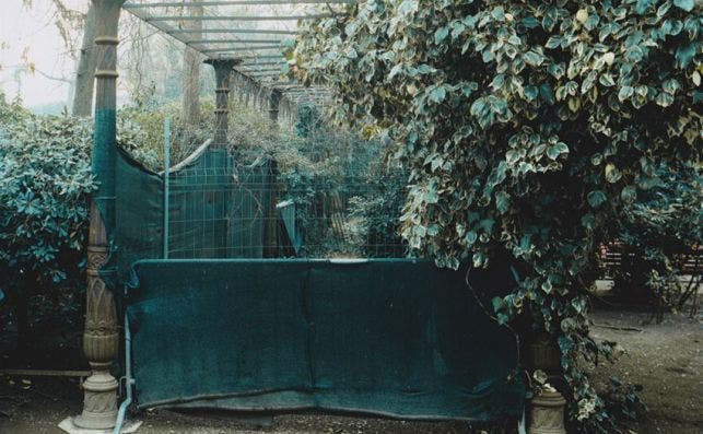 Vista de la pÃ©rgola durante la restauraciÃ³n. Foto: Jardines Reales de Venecia.