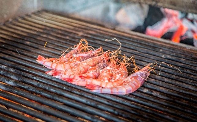 Pez Fuego es la apuesta mÃ¡s marinera del Grupo Oter. Foto Pez Fuego.