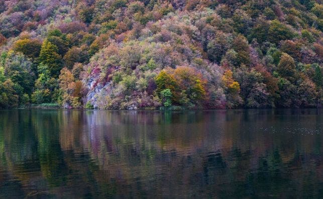 Plitvice. Fot: Davide Cantelli | Unsplash.