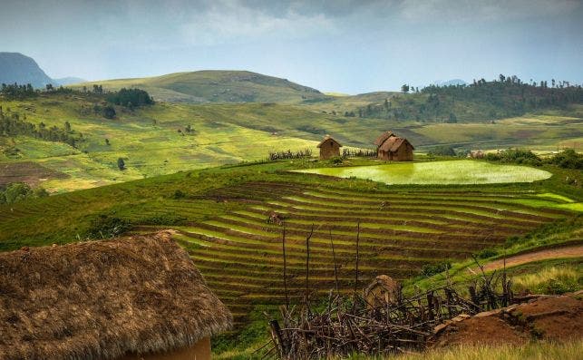 Por la ventanilla desfilan desde cultivos de arroz a la jungla maÌs densa. Foto Getty Images.