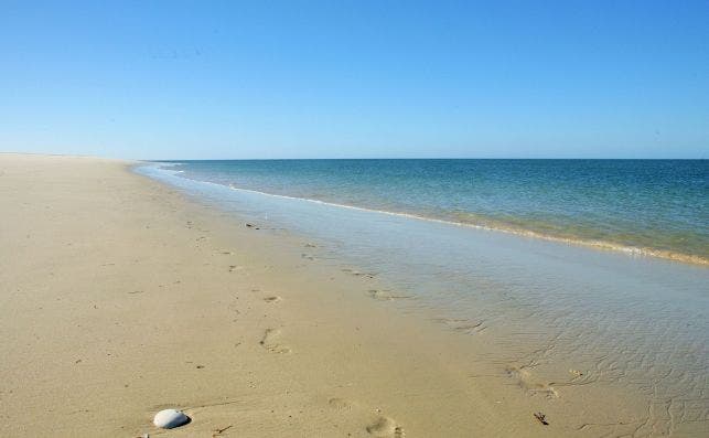 Praia TrÃ³ia. Foto Turismo del Alentejo.