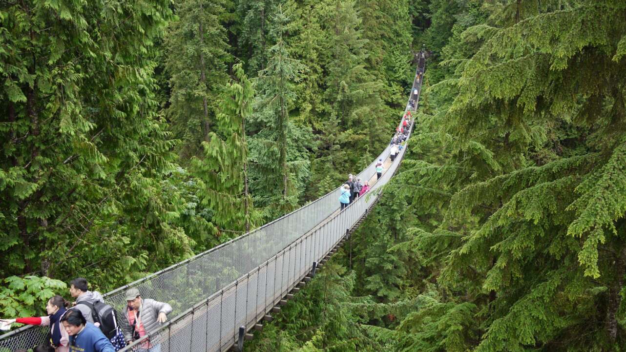 Puente colgante de Capilano, en Vancouver. Foto: Markus SÃ¤ynevirta/CC by 4.0 (dominio pÃºblico)