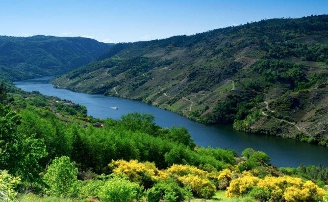 Ribeira Sacra CatamarÃ¡n (1)