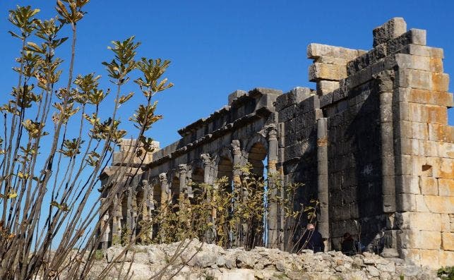 Ruinas romanas de Volubilis. Foto Pixabay