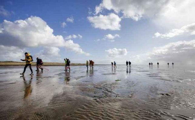 Schiermonnikoog marismas