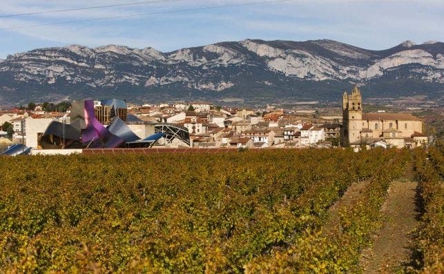 Senderismo entre viÃ±as. Foto Ruta del Vino de Rioja Alavesa.