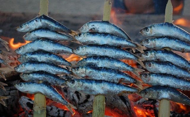 Espeto de sardinas. FotografÃ­a: Gavilla