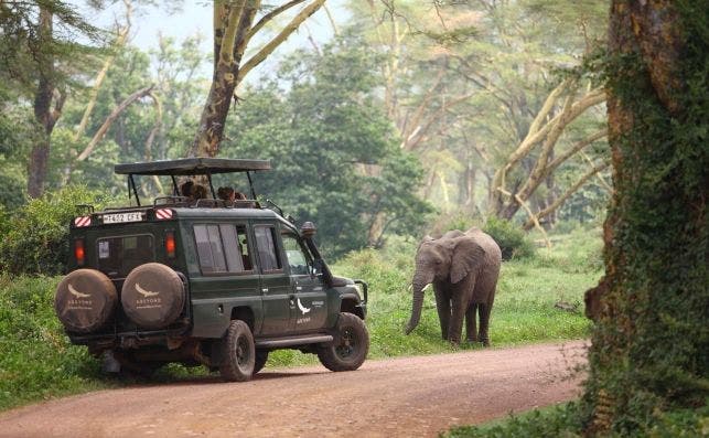 Tanzania   Ngorongoro.