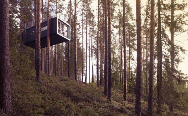 The Cabin. Foto: Tree Hotel