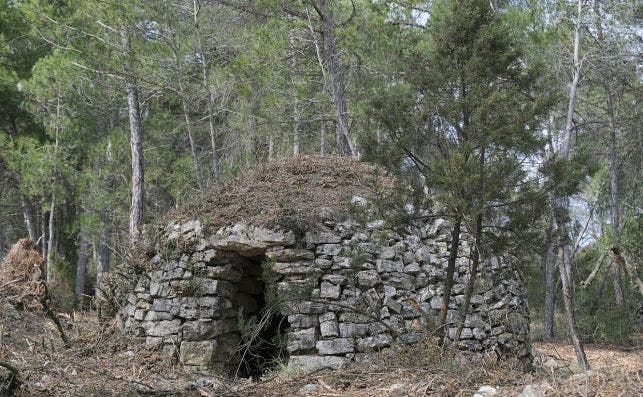 CabaÃ±a primitiva de la Familia Torres. Foto: Jordi ElÃ­as