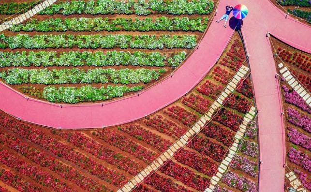 Tuan Nguyen Tan, Viet Nam, entry, Open competition , Travel, 2020 Sony World Photography Awards